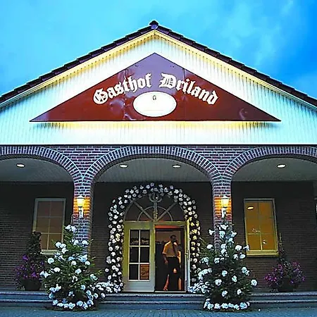 Driland