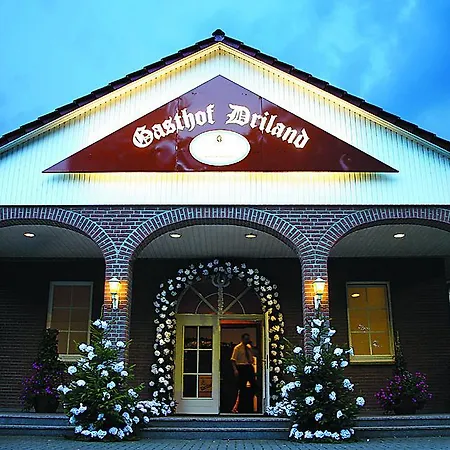 Driland غروناو
